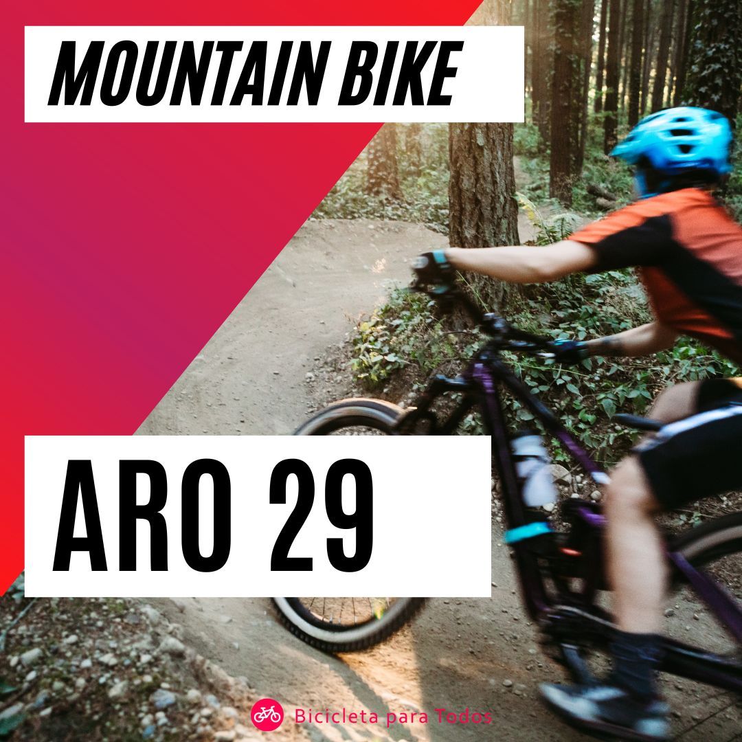 foto com legenda mountain bike aro 29