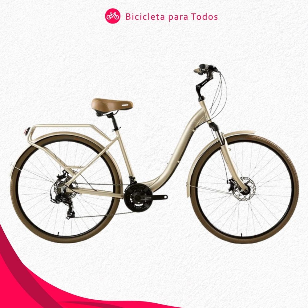 modelo clássico vintage bicicleta