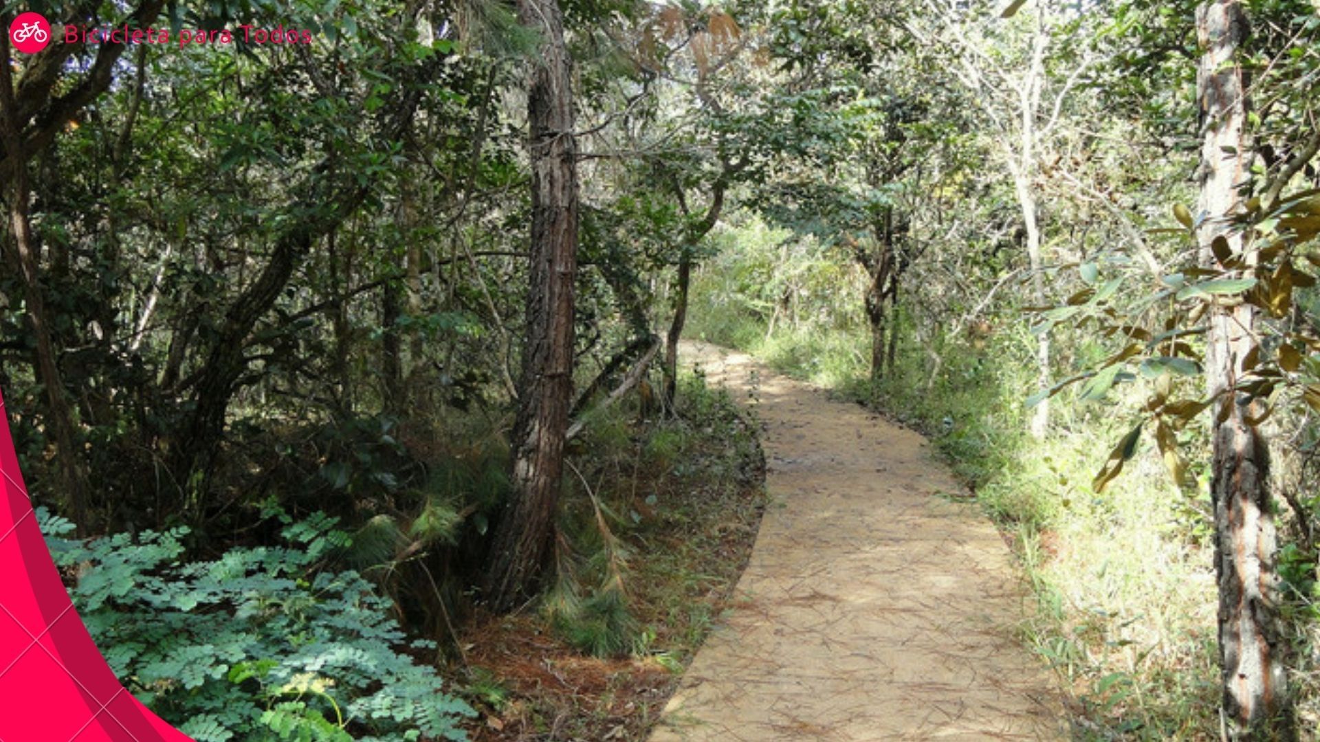 trilha para ciclistas no jardim botânico de brasília